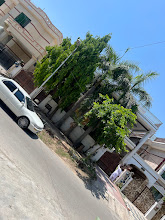 Serene Boys hostel image 11